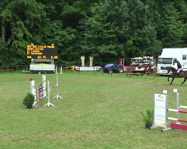 Reitturnier Jettingen 2017
