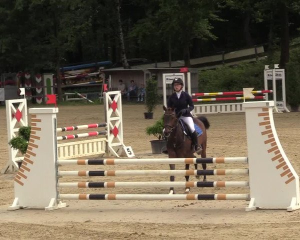 Reitturnier Iserlohn-Kalthof 2017