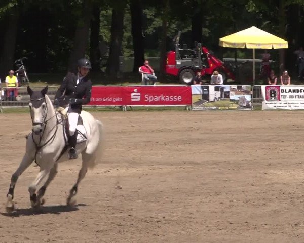 Reitturnier Mönchengladbach-Wickrath 2017