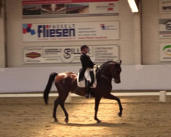 Reitturnier Borken 2017