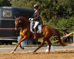 broodmare Escada R 3 (German Sport Horse, 2014, from Escolar)