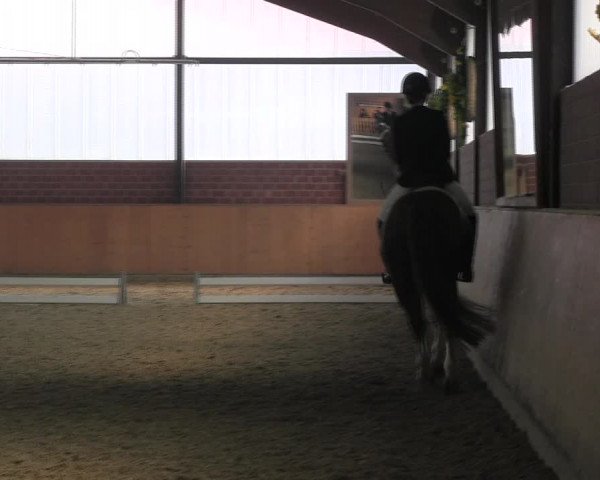 Reitturnier Iserlohn-Kalthof 2017
