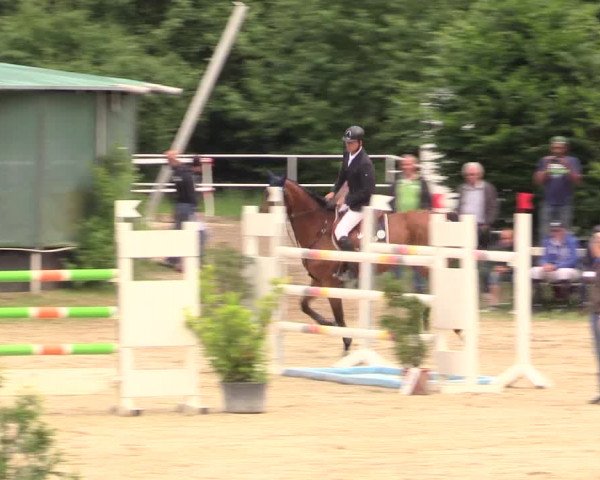 Reitturnier Bochum-Nord 2017