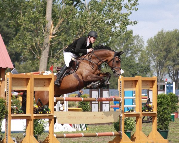 jumper Charistea (German Sport Horse, 2010, from Cefalo)