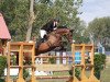 jumper Charistea (German Sport Horse, 2010, from Cefalo)