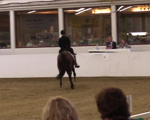 Reitturnier Borken 2017