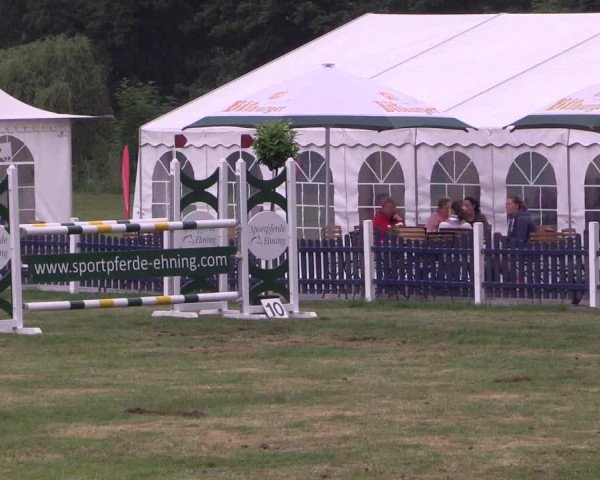 Reitturnier Borken 2017