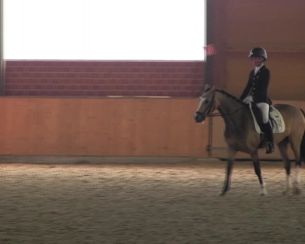 Reitturnier Iserlohn-Kalthof 2017