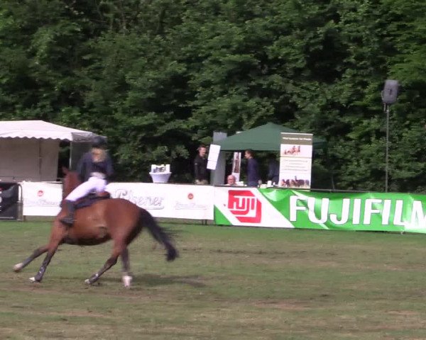 Reitturnier Borken 2017