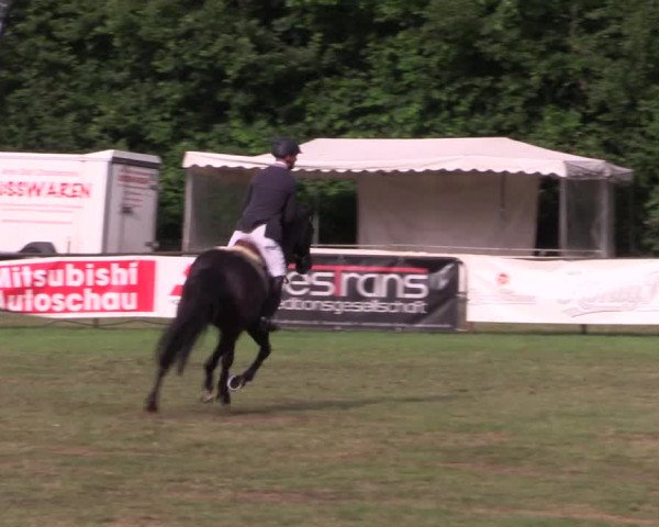Reitturnier Borken 2017