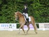 Dressurpferd Nejarri (Haflinger, 2005, von Nebos I (3,125% ox))