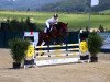 jumper Happiness (KWPN (Royal Dutch Sporthorse), 2012, from Back Gammon (NLD))