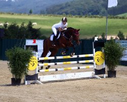 jumper Happiness (KWPN (Royal Dutch Sporthorse), 2012, from Back Gammon (NLD))