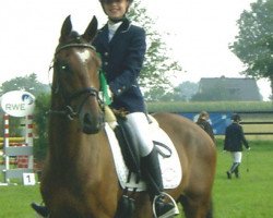 Dressurpferd Dream Dario (Deutsches Reitpony, 2002, von FS Don't Worry)