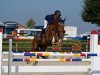 jumper Horse Gym's Deja Vue (Holsteiner, 2008, from Diamant de Semilly)