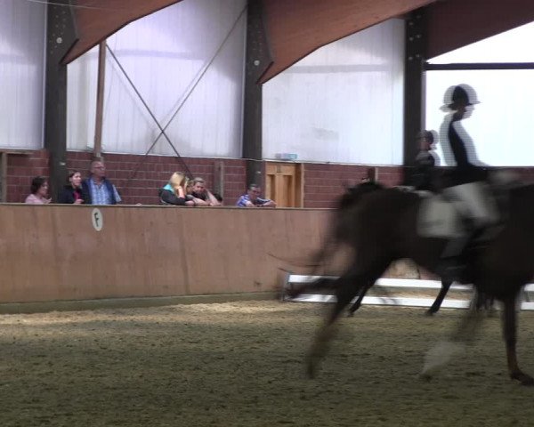 Reitturnier Iserlohn-Kalthof 2017