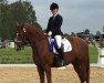 dressage horse Suntiago H (Westphalian, 2015, from Sunday)