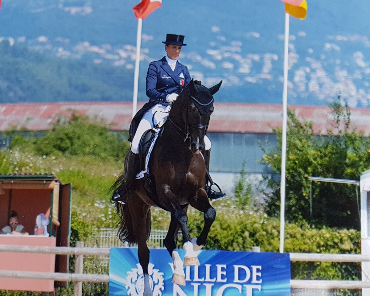 dressage horse Gb Londero V. Worrenberg (Swiss Warmblood, 2009, from Londontime)
