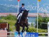 dressage horse Gb Londero V. Worrenberg (Swiss Warmblood, 2009, from Londontime)