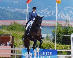 Dressurpferd Gb Londero V. Worrenberg (Schweizer Warmblut, 2009, von Londontime)