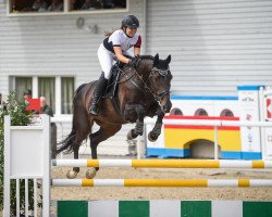 dressage horse Amalia II (KWPN (Royal Dutch Sporthorse), 2005, from Eurocommerce Caresino)