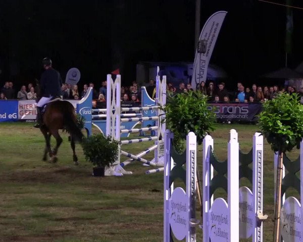 Reitturnier Borken 2017