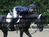 dressage horse Caro 101 (German Riding Pony, 2008, from Visconti)