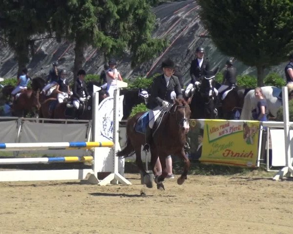 Reitturnier Frechen-Grefrath - Sonnenhof 2017