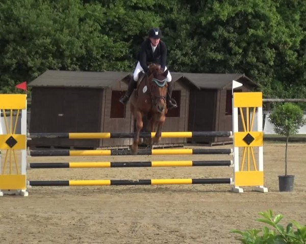 Reitturnier Frechen-Grefrath - Sonnenhof 2017