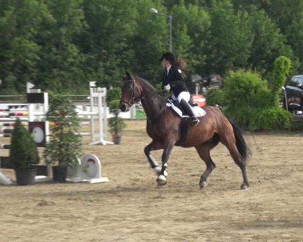 Reitturnier Frechen-Grefrath - Sonnenhof 2017
