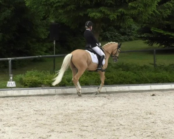 Reitturnier Kurtscheid 2017