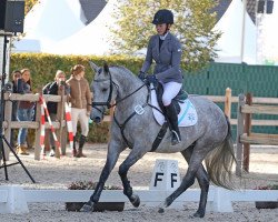 dressage horse Soraya von Ludwigsburg AA (Anglo-Arabs, 2013, from Ocamonte xx)