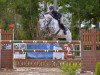 jumper Coco Chanell 18 (Oldenburg show jumper, 2008, from Chacco-Blue)