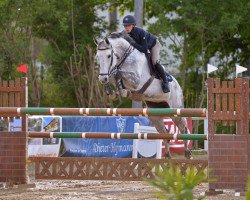 jumper Coco Chanell 18 (Oldenburg show jumper, 2008, from Chacco-Blue)