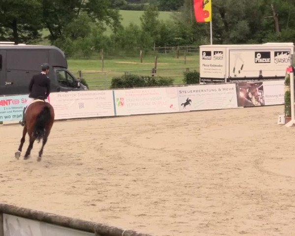 Reitturnier Detmold-Remmighausen 2017