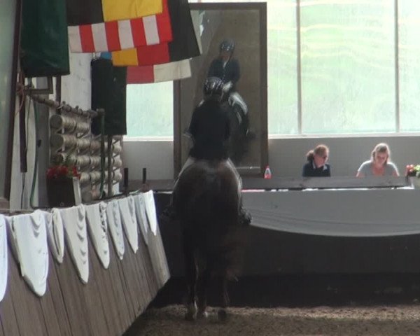 Reitturnier Bochum-Nord 2017