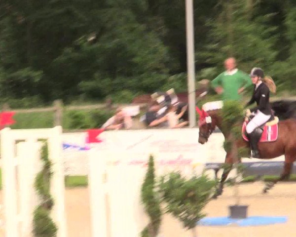 Reitturnier Detmold-Remmighausen 2017