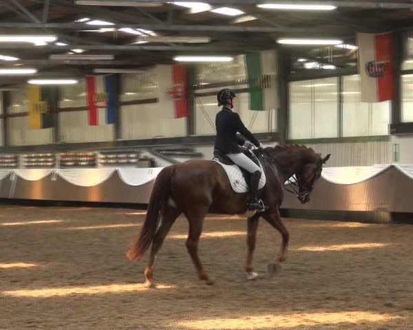 Reitturnier Bochum-Nord 2017