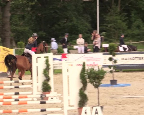 Reitturnier Detmold-Remmighausen 2017