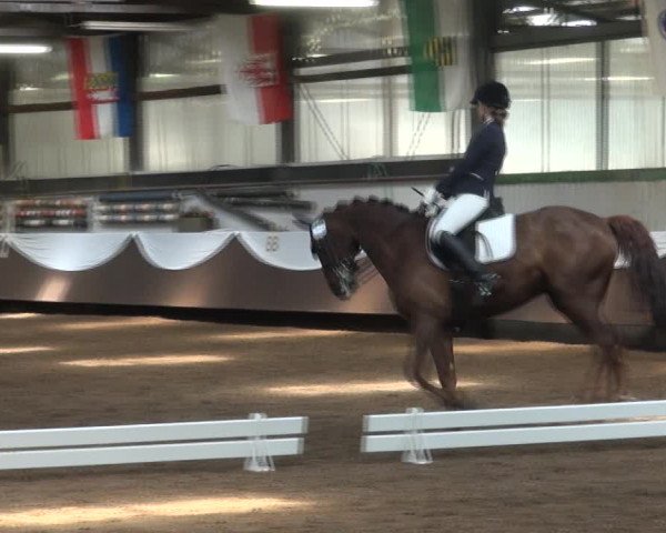 Reitturnier Bochum-Nord 2017