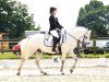 dressage horse Poynstown Benny (Connemara Pony, 2009)