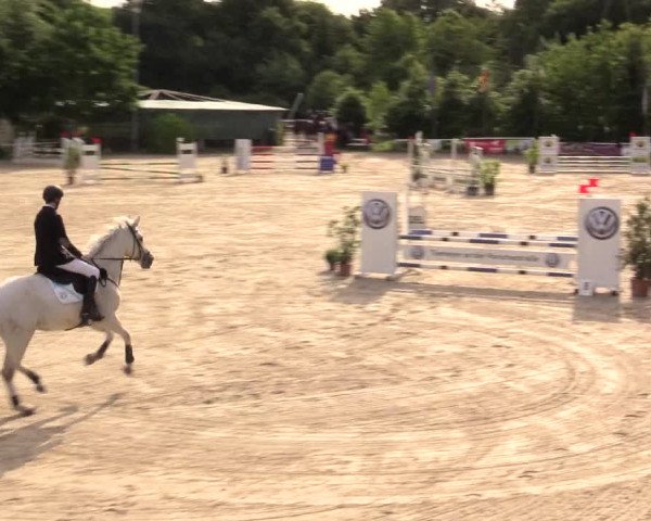 Reitturnier Bochum-Nord 2017