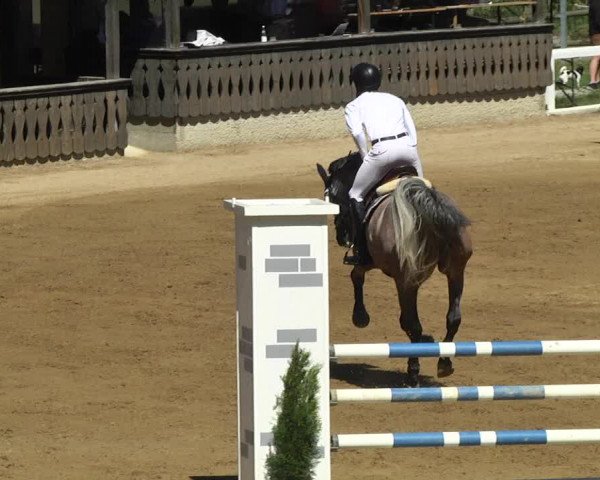 Reitturnier Schwaiganger 2017