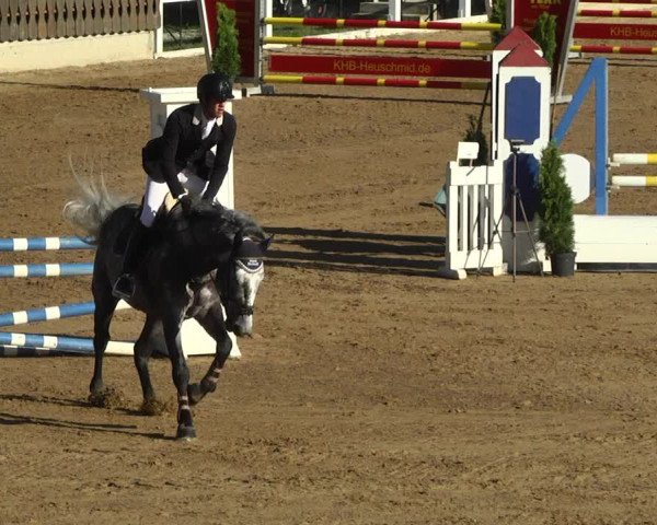 Reitturnier Schwaiganger 2017