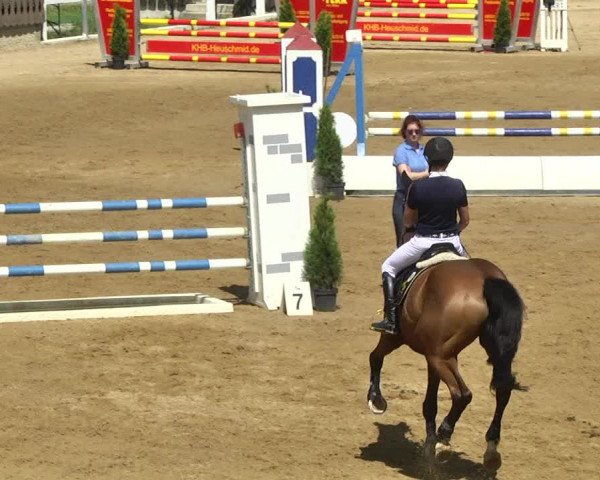 Reitturnier Schwaiganger 2017