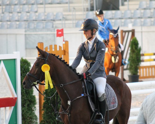 broodmare Fandy AS (German Riding Pony, 2013, from For Next Generation)