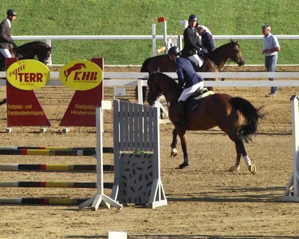 Reitturnier Schwaiganger 2017