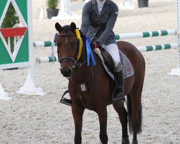 jumper Faricica T (German Riding Pony, 2013, from For Next Generation)