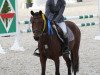 jumper Faricica T (German Riding Pony, 2013, from For Next Generation)