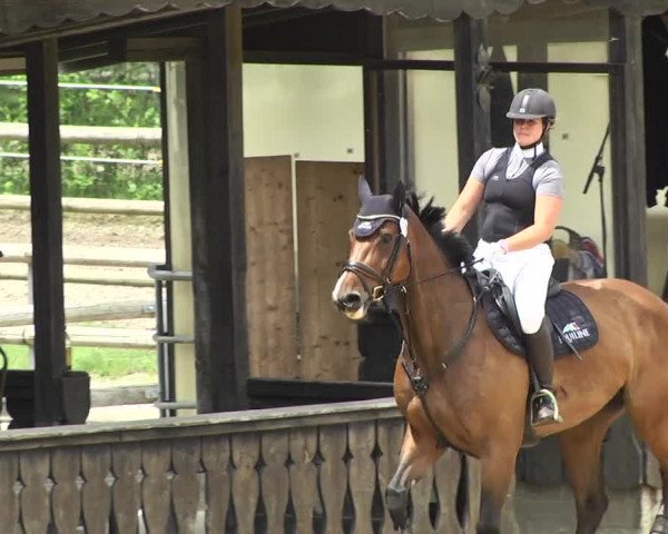 Reitturnier Schwaiganger 2017